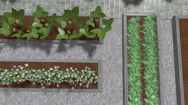 Memleketin peyzaj tasarımının 3 boyutlu görüntüsü. Bölgenin peyzajı. Birleşik peyzaj ve peyzaj çözümlerinin bilgisayar görselleştirmesi.