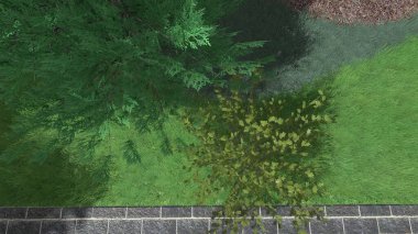 Memleketin peyzaj tasarımının 3 boyutlu görüntüsü. Bölgenin peyzajı. Birleşik peyzaj ve peyzaj çözümlerinin bilgisayar görselleştirmesi.