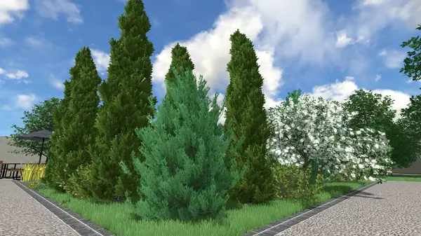 Memleketin peyzaj tasarımının 3 boyutlu görüntüsü. Bölgenin peyzajı. Birleşik peyzaj ve peyzaj çözümlerinin bilgisayar görselleştirmesi.