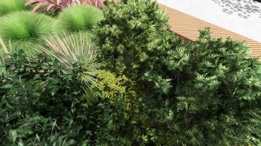 Memleketin peyzaj tasarımının 3 boyutlu görüntüsü. Bölgenin peyzajı. Birleşik peyzaj ve peyzaj çözümlerinin bilgisayar görselleştirmesi.