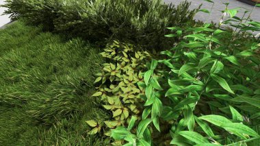 Memleketin peyzaj tasarımının 3 boyutlu görüntüsü. Bölgenin peyzajı. Birleşik peyzaj ve peyzaj çözümlerinin bilgisayar görselleştirmesi.