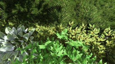 Memleketin peyzaj tasarımının 3 boyutlu görüntüsü. Bölgenin peyzajı. Birleşik peyzaj ve peyzaj çözümlerinin bilgisayar görselleştirmesi.