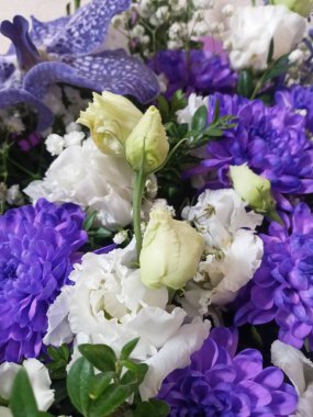 Bahçedeki güzel çiçekler