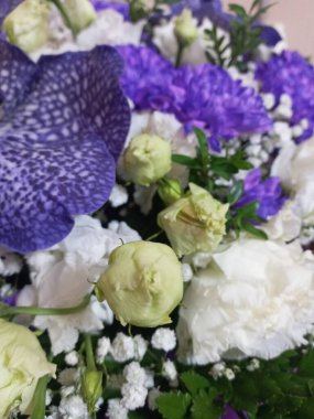 Bahçedeki güzel çiçekler