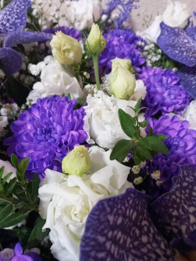 Bahçedeki güzel çiçekler