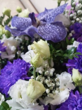 Bahçedeki güzel çiçekler