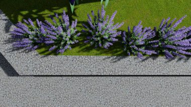 Memleketin peyzaj tasarımının 3 boyutlu görüntüsü. Bölgenin peyzajı. Birleşik peyzaj ve peyzaj çözümlerinin bilgisayar görselleştirmesi.