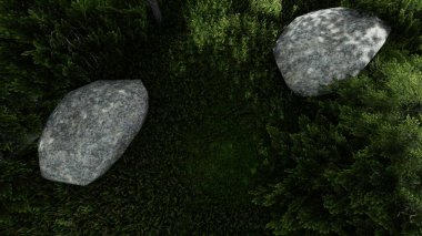 Memleketin peyzaj tasarımının 3 boyutlu görüntüsü. Bölgenin peyzajı. Birleşik peyzaj ve peyzaj çözümlerinin bilgisayar görselleştirmesi.