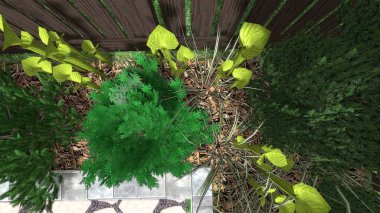 Memleketin peyzaj tasarımının 3 boyutlu görüntüsü. Bölgenin peyzajı. Birleşik peyzaj ve peyzaj çözümlerinin bilgisayar görselleştirmesi.