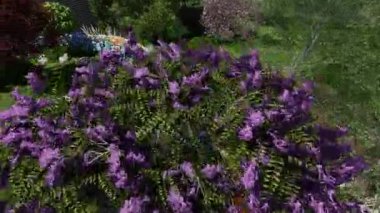 Şehir bahçesinin peyzaj tasarımının panoramik videosu. Park manzarasının avantajlı bir noktasından panoramik manzara.