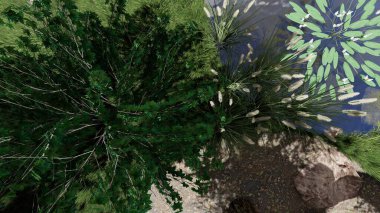 Memleketin peyzaj tasarımının 3 boyutlu görüntüsü. Bölgenin peyzajı. Birleşik peyzaj ve peyzaj çözümlerinin bilgisayar görselleştirmesi.