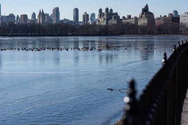 Manhattan Merkez Parkı'ndan görünümü