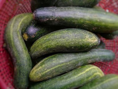 Green cucumber from the garden 2