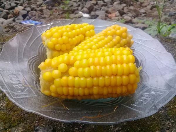 Sweet boiled corn for breakfast