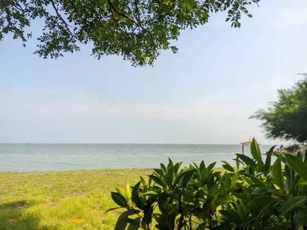 Yeşil çimenler ve ağaçlarla güzel bir sahil atmosferi var.