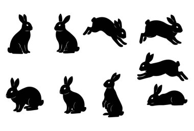 Oturmak, ayakta durmak, zıplamak, koşmak ve dinlenmek de dahil olmak üzere çeşitli pozlarda siyah siluet tavşan ikonları koleksiyonu. Basit ve minimalist vektör biçimi, beyaz arkaplanda izole edilmiş