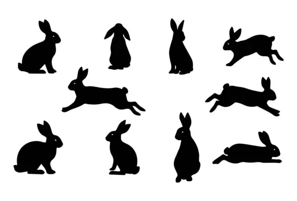 Oturmak, ayakta durmak, zıplamak, koşmak ve dinlenmek de dahil olmak üzere çeşitli pozlarda siyah siluet tavşan ikonları koleksiyonu. Basit ve minimalist vektör biçimi, beyaz arkaplanda izole edilmiş