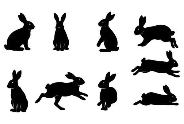Oturmak, ayakta durmak, zıplamak, koşmak ve dinlenmek de dahil olmak üzere çeşitli pozlarda siyah siluet tavşan ikonları koleksiyonu. Basit ve minimalist vektör biçimi, beyaz arkaplanda izole edilmiş