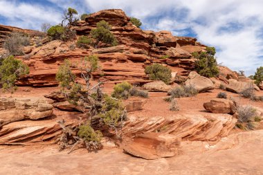 Çöl kayalıkları Moab Utah yakınlarındaki Dead Horse Point Eyalet Parkı 'nda yer alıyor.