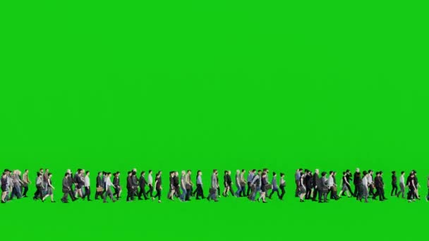 侧视图3D动画中的大群人流在绿色屏幕背景彩色键上呈现人的行走场景 — 图库视频影像