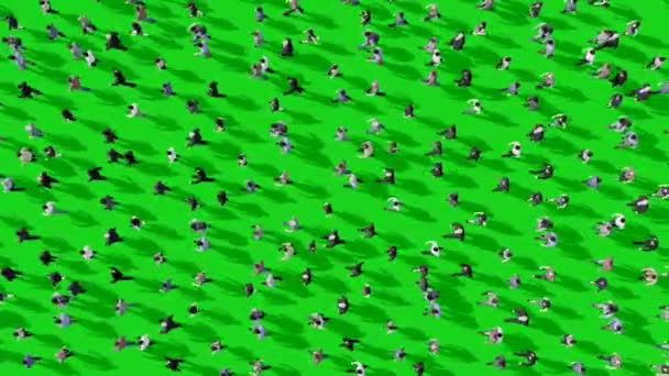Yeşil Ekran Arkaplanda Gölgeyle Yürüyen Bir Çok Kişi Görünümü Kroma — Stok video