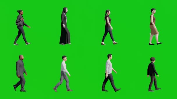 Набор Разнообразных Людей Идущих Боковом Представлении Анимации Рендеринг Зеленом Фоне — стоковое видео