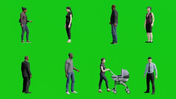 Grupo Personas Mixtas Pie Caminando Pantalla Verde Fondo Recortado Animación — Vídeos de Stock