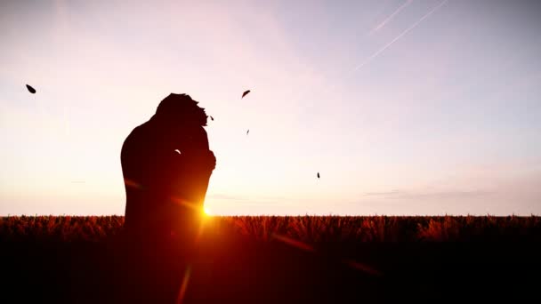 Silhouette Couple Embracing Kissing Field Falling Leaves Sunset Animation Rendering — Stock Video