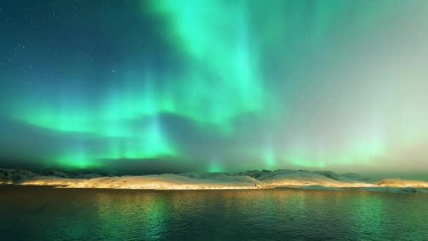 Северное Сияние Aurora Borealis Перемещение Острову Середине Океана Отражением Огнями — стоковое видео