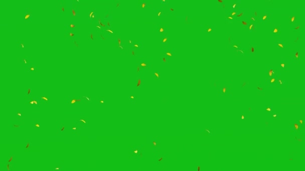 Осенний Лист Падает Зеленый Экран Фона Хрома Ключевые Анимации Рендеринга — стоковое видео