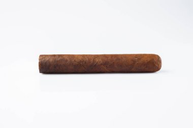 One cigar on an isolated white background. Close-up with many small details.