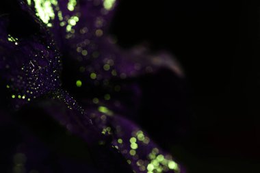 Parıltılı, karanlık, fantastik soyutlama. Güzel bokeh ve pürüzsüz defocus. Masaüstünüz ve arkaplanınız için duvar kağıdı.