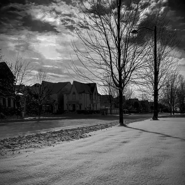 Rua coberta de neve em um de inverno, com casas alinhadas e rvores sem sem folhas com cu nublado dramtico. Bir imagem PB destaca o contraste into a neve brilhante e as sombras along ongadas das rvores, criando uma atmosfera silenciosa e contemplativa.