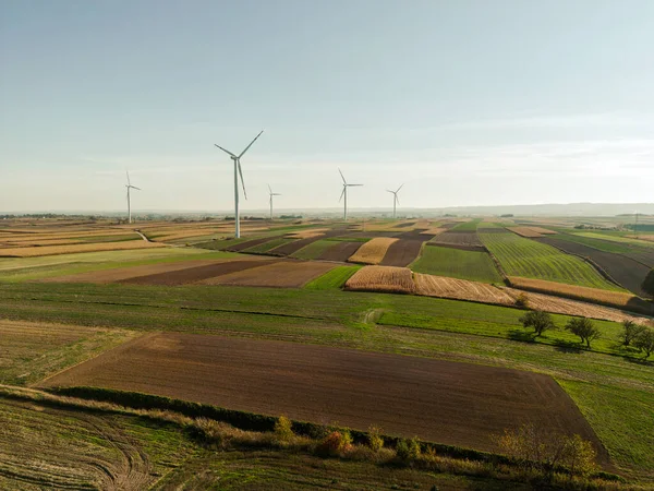 Autumn field in the countryside with a wind turbine in the background.
