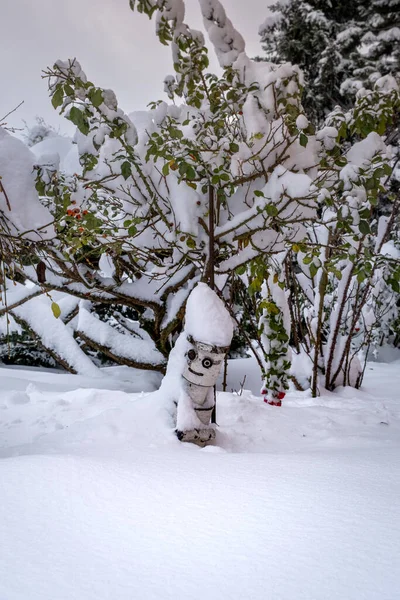 A wooden statue - a smiling man in a big snow among trees and bushes