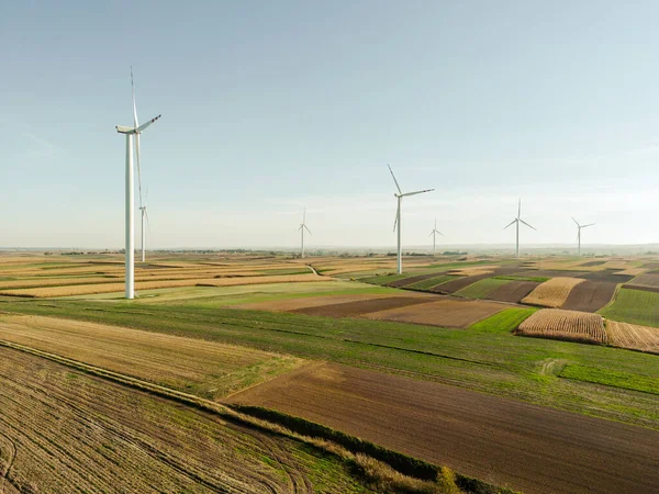 Autumn field in the countryside with a wind turbine in the background.