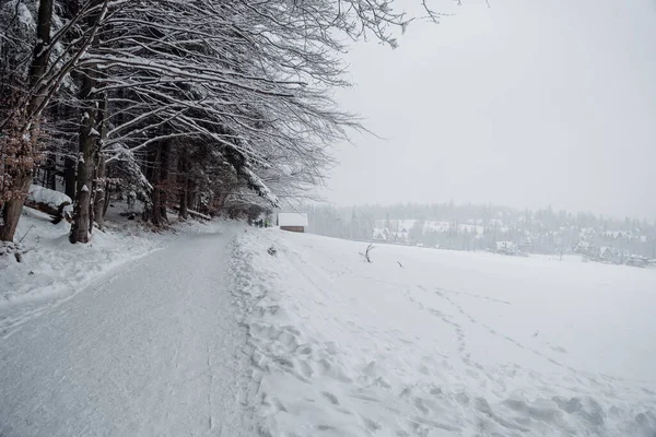 Road in the mountains on a winter day