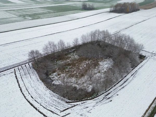Kışın başında tarımsal tarlalar arasında küçük bir orman. Tarım arazilerindeki karların arka planı