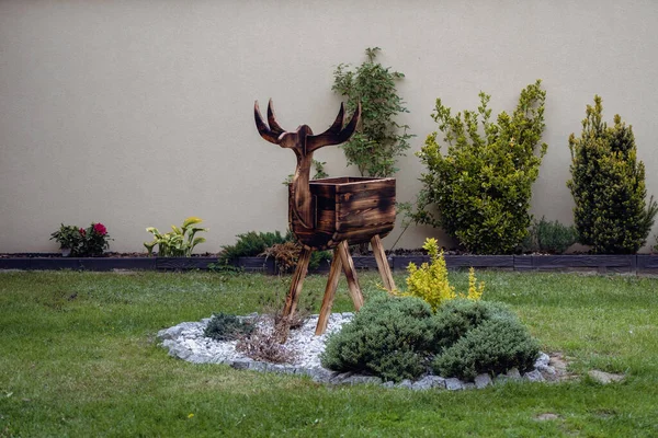 Bir geyiğin ahşap bahçe heykeli çiçeklerin arka planına ve bir duvara karşı. Ahşap süsleme.