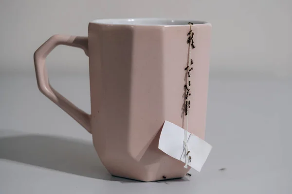 Evdeki bardaktaki karıncalar. İple geliyorlar.