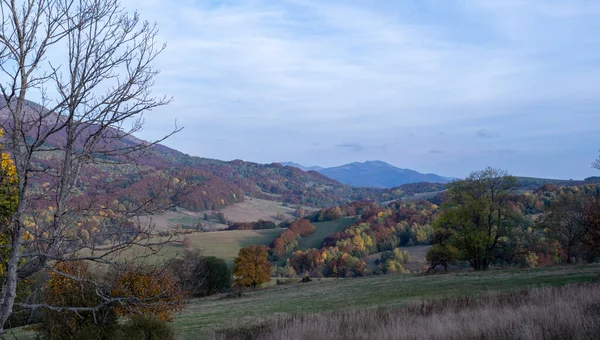 草や丘の間の秋のポーランドBieszczady山 空と風景 — ストック写真