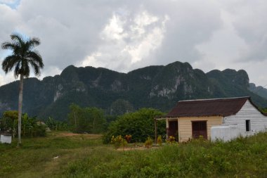 Önünde bir ev, arkasında Mogotlar olan Küba manzarası.