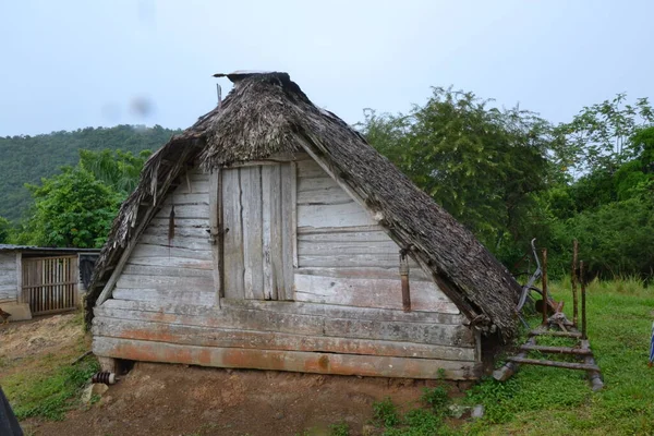 Деревянный Дом Кубинской Сельской Местности Используется Качестве Коптильни Сушки Табачных — стоковое фото