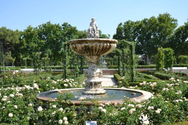 Madrid El Retiro Parkı 'ndaki gül bahçesi ve çeşme.