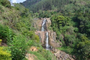 Şelale Şelalesi, Sri Lanka tropikal yağmur ormanlarında