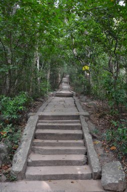 Sri lanka, Matale, 27 Nisan 2016: Ormanın ortasındaki antik bir tapınağın kalıntıları