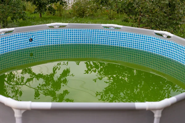 stock image A backyard swimming pool has turned green with algea and dirt and is in need of chlorine treatment. Green water in dirty swimming pool, salt treatment water system is not working , defect and error