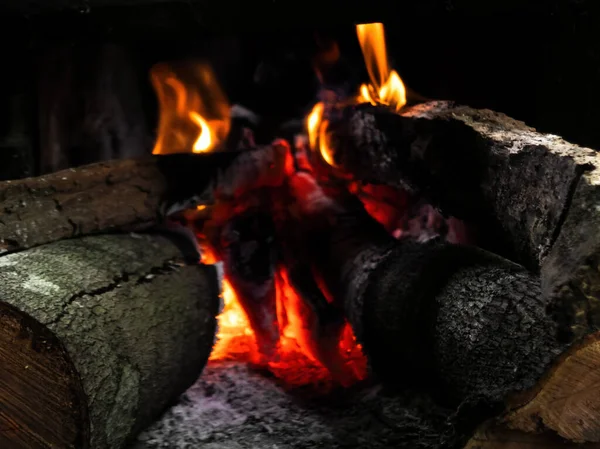 Fire in wood bonfire. Wood burning..