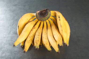 Banana Da Terra bunch, in Portuguese, one of the many banana varieties consumed in Brazil