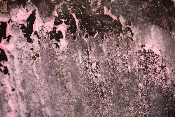 Old Wall Peeling Paint Mold — Stock Photo, Image